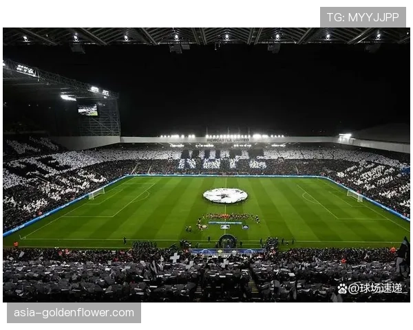 为满足欧足联要求,里昂公园球场启动灯光系统升级工程